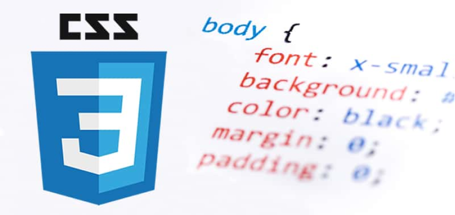 Logo y estructura de CSS